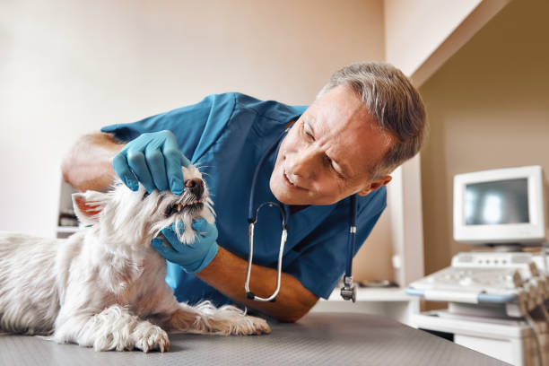 Best Emergency Tooth Extraction in Waldo, AR
